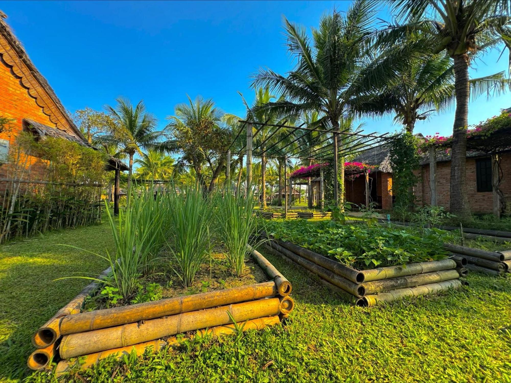 Enso Retreat Hoi An - Rediscovery & Serenity エクステリア 写真